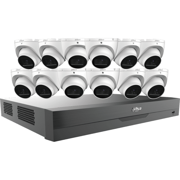 Dahua C865E124A Security camera